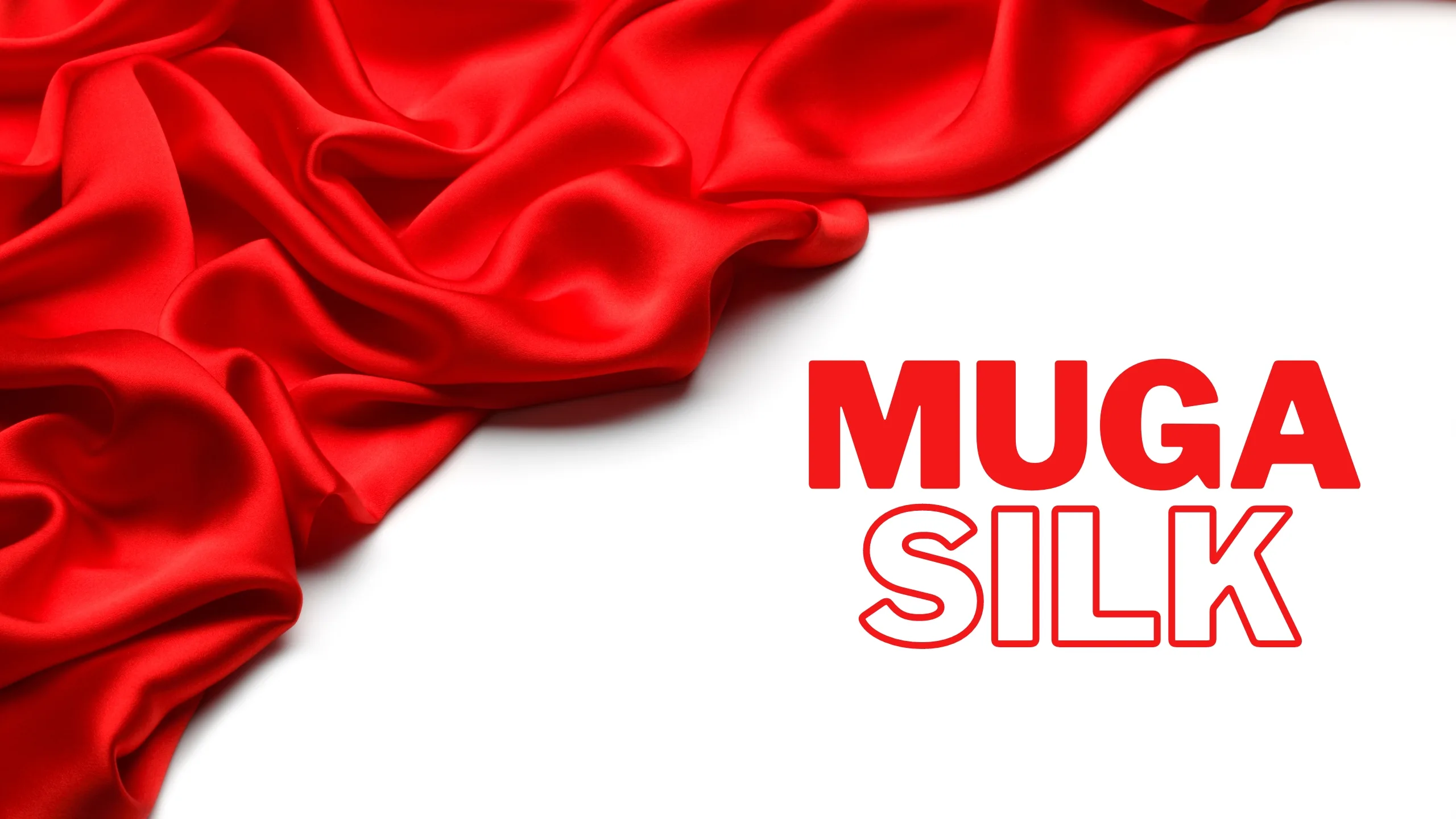 Muga Silk