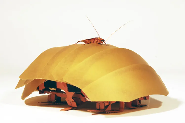 Roach : A Cockroach inspired Robot
