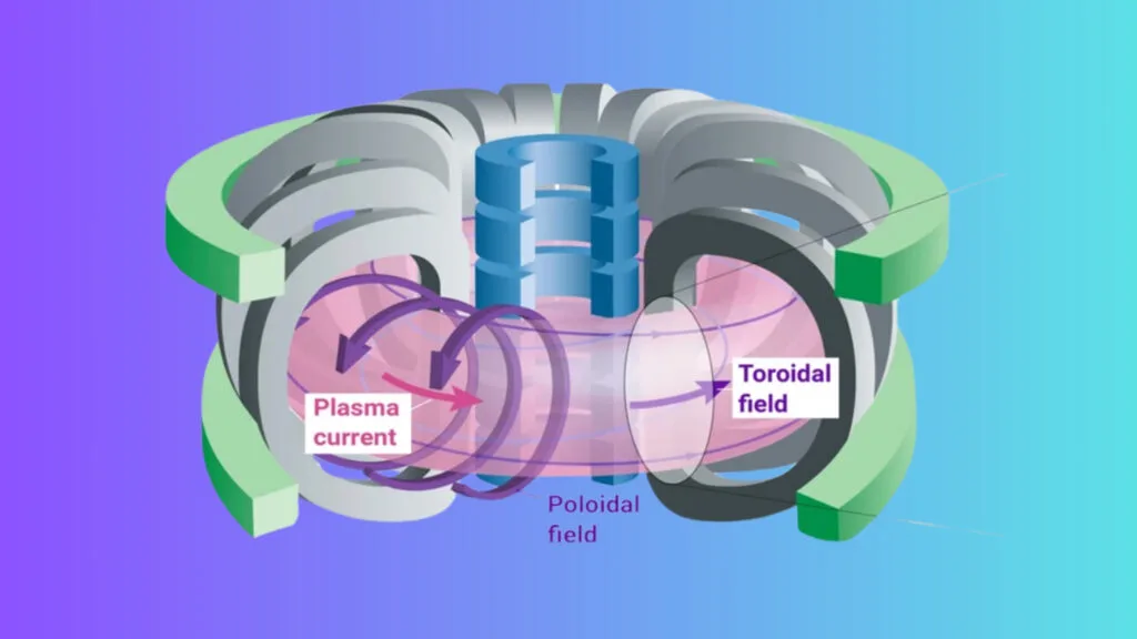 Nuclear Fusion