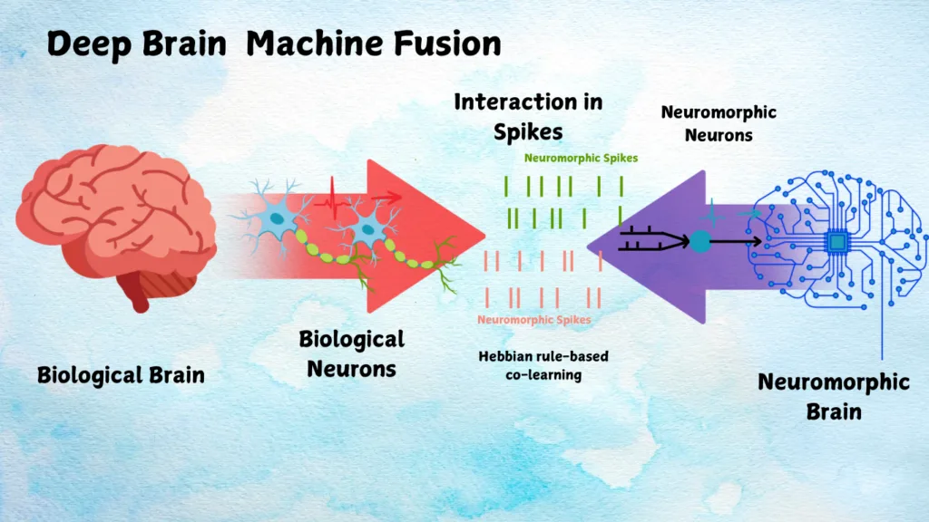 The Impact of Neuromorphic Computing on Industries — Neuromorphic Computing: The Future of AI