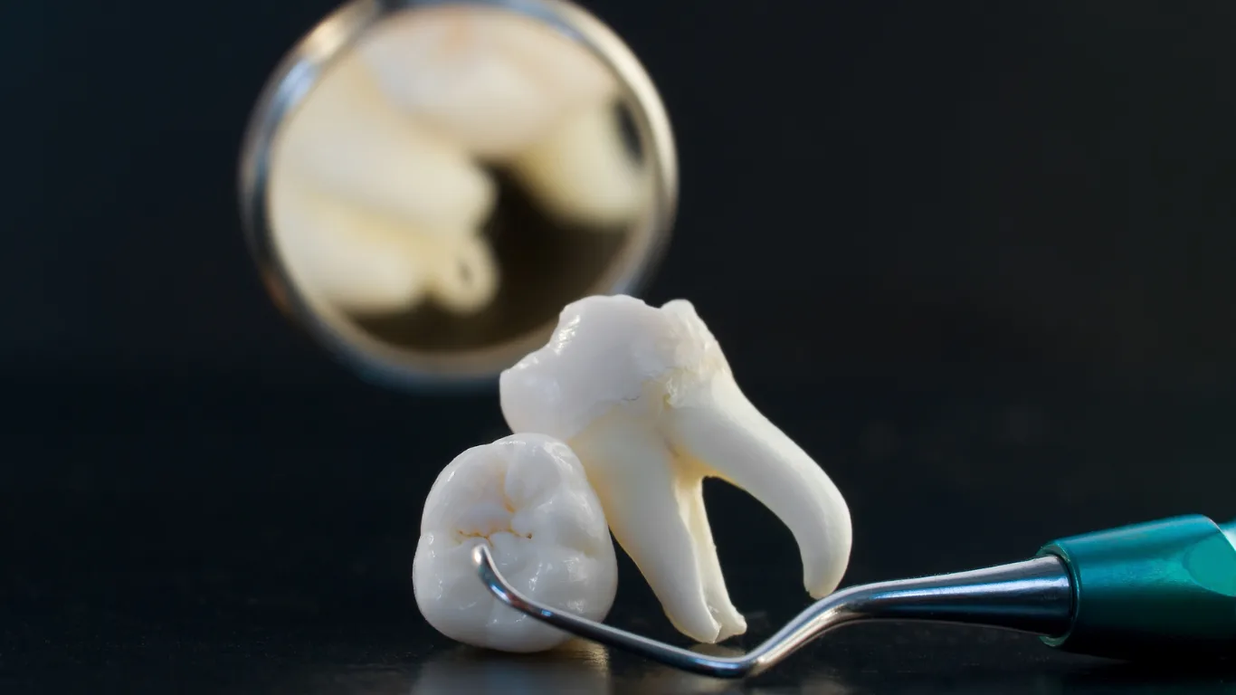 Goodbye Fillings: Scientists Grow Real Human Teeth
