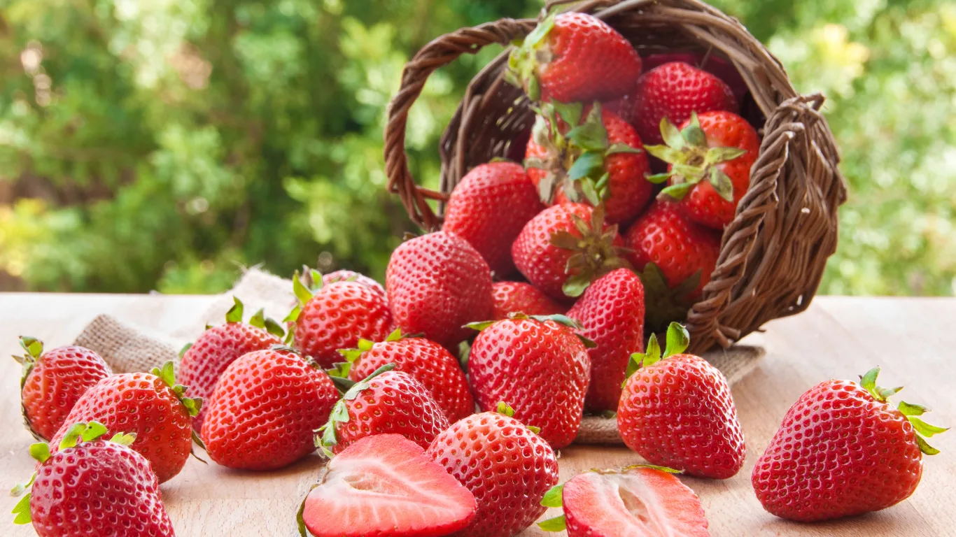 Farming Meets the Future: How Dyson Grows Strawberries Using Giant Rotating Wheels and Robotic Systems