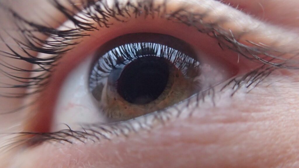 Artificial Cornea