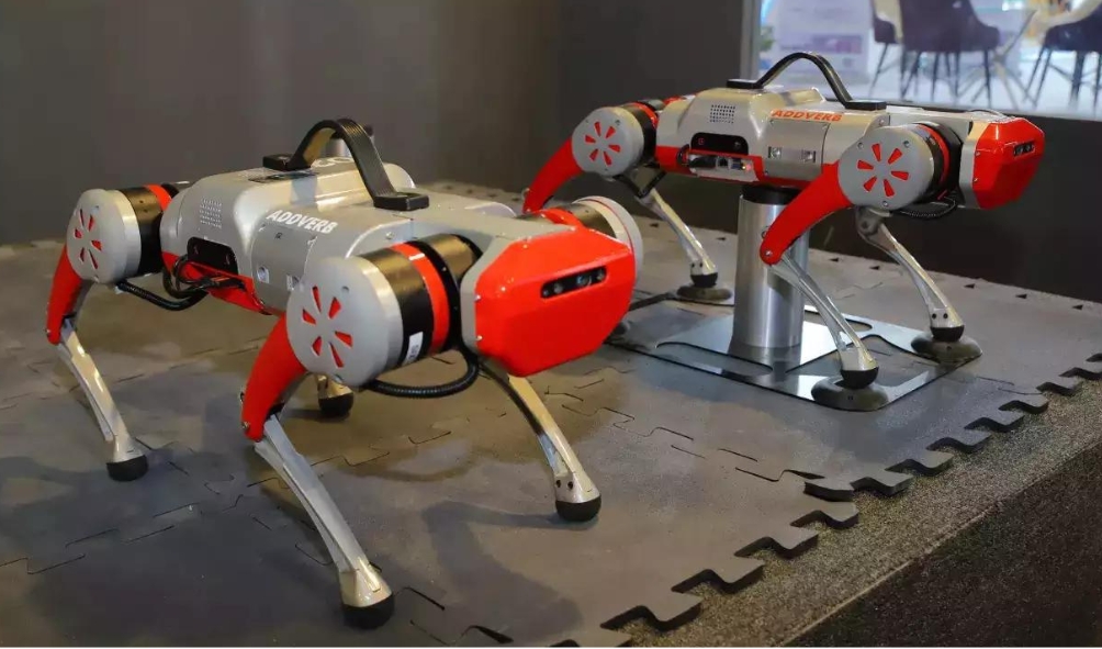 Trakr: 'India’s first robot dog