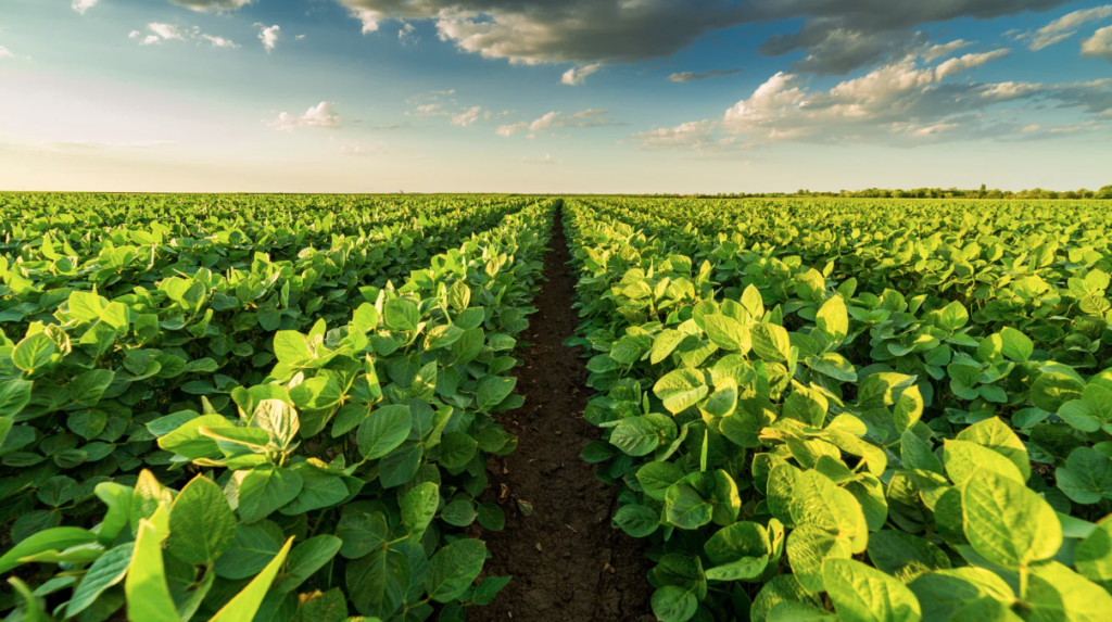 How AI and Biotechnology is used in agriculture